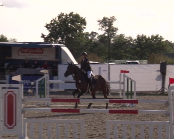 Reitturnier Poxdorf/Ofr 2024
