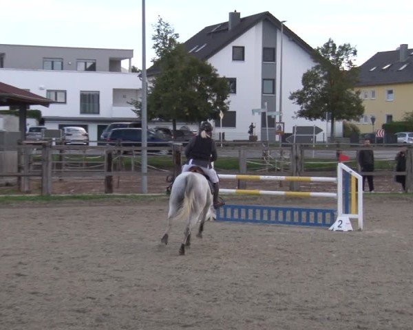 Reitturnier Poxdorf/Ofr 2024