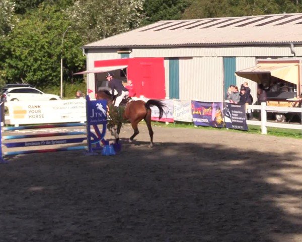 Reitturnier Mildstedt - Jumping Team Nord - 2024