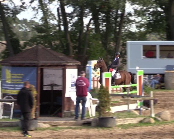 Reitturnier Baitz 2024