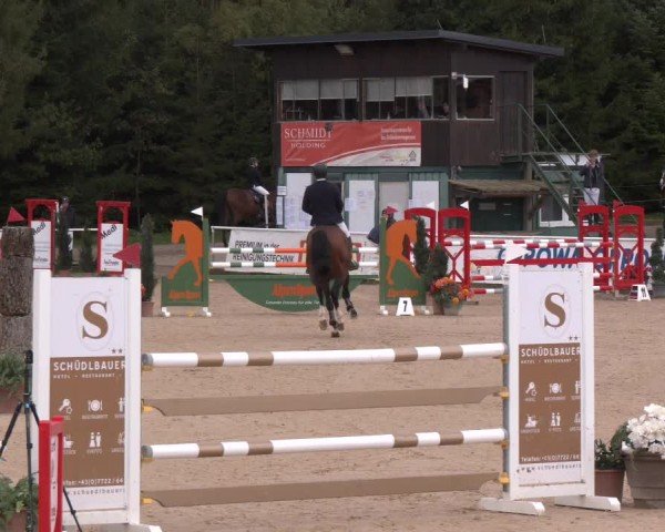 Reitturnier Ranshofen - Braunau am Inn 2024