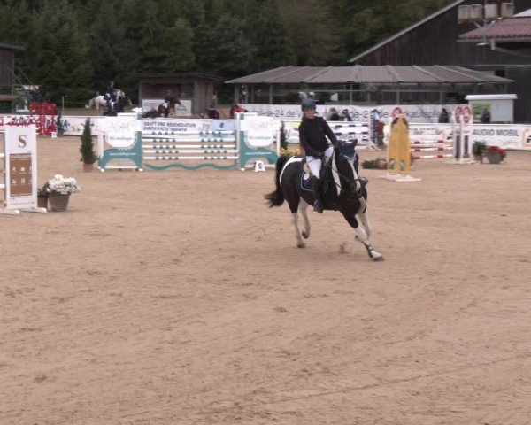Reitturnier Ranshofen - Braunau am Inn 2024