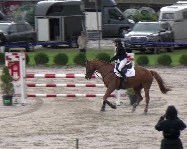 Reitturnier Basel 2024