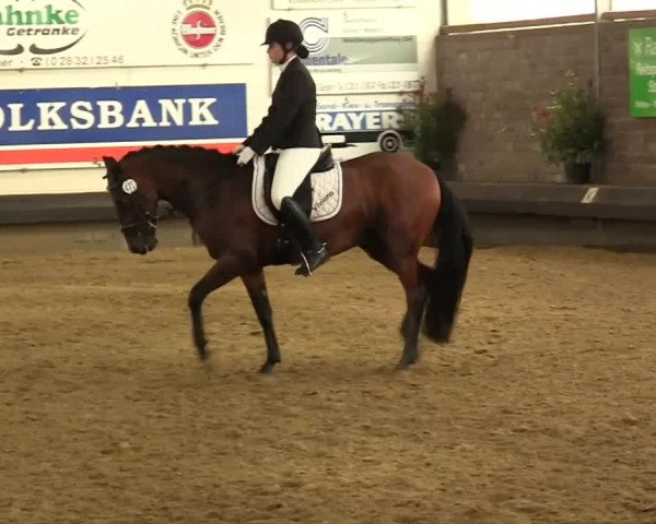 Kevelaer-Wetten 2013