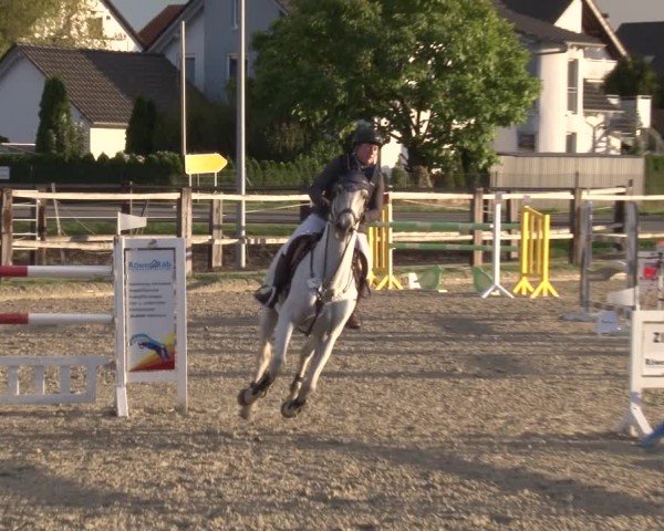 Reitturnier Poxdorf/Ofr 2024