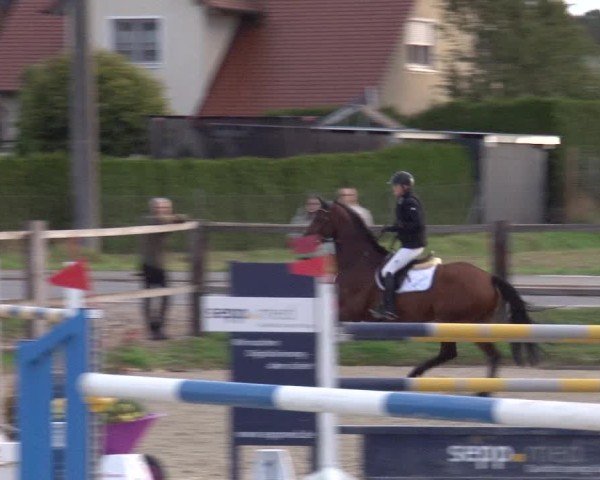 Reitturnier Poxdorf/Ofr 2024