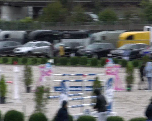 Reitturnier Basel 2024