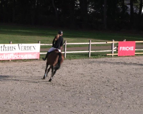 Reitturnier Westergellersen 2024