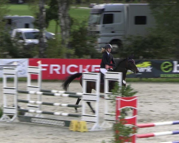 Reitturnier Westergellersen 2024