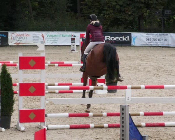 Reitturnier Karlsfeld/Obb. 2024