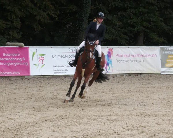 Reitturnier Karlsfeld/Obb. 2024