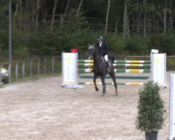 Reitturnier Igls 2024