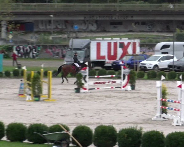 Reitturnier Basel 2024