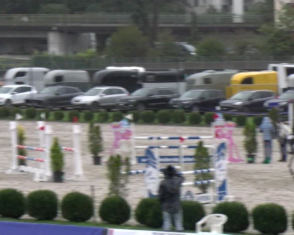 Reitturnier Basel 2024