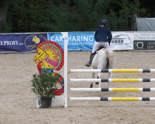 Reitturnier Karlsfeld/Obb. 2024
