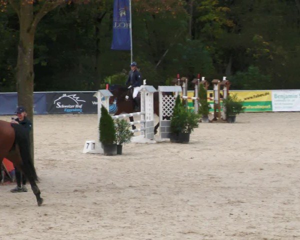 Reitturnier Karlsfeld/Obb. 2024