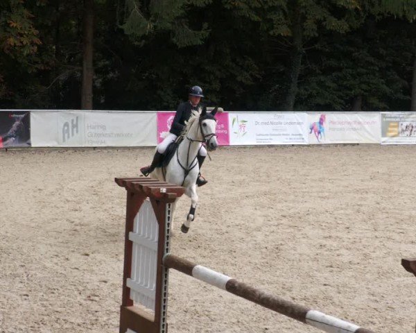 Reitturnier Karlsfeld/Obb. 2024