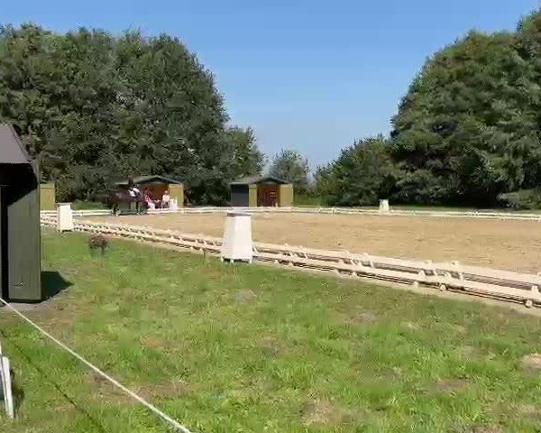 Video of MDM Inflagranti