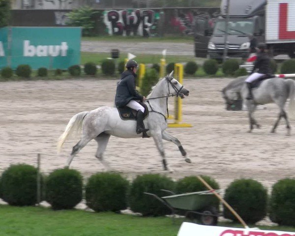 Reitturnier Basel 2024
