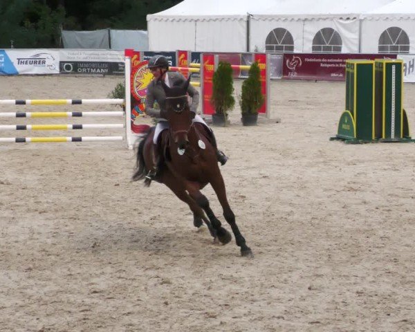 Reitturnier Karlsfeld/Obb. 2024