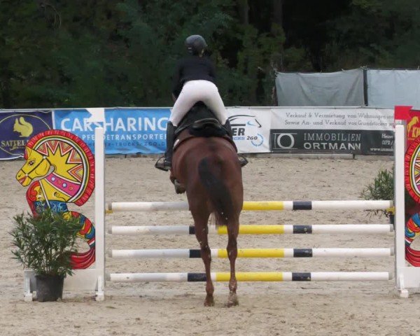 Reitturnier Karlsfeld/Obb. 2024