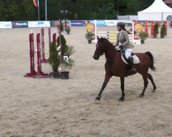 Reitturnier Karlsfeld/Obb. 2024