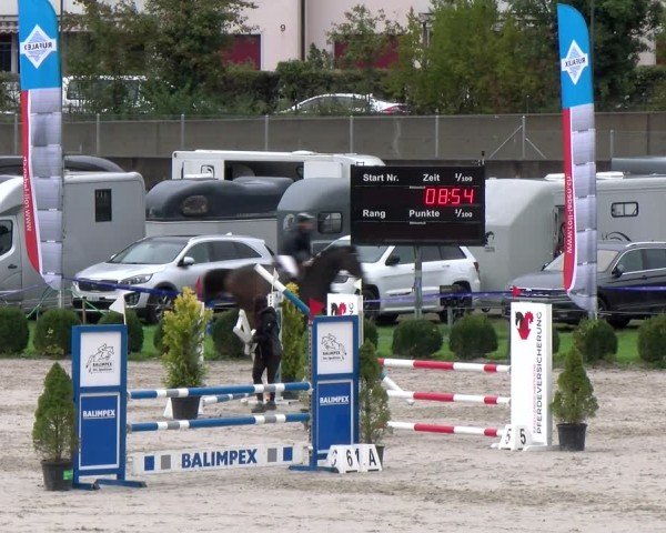 Reitturnier Basel 2024