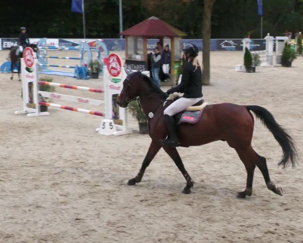 Reitturnier Karlsfeld/Obb. 2024
