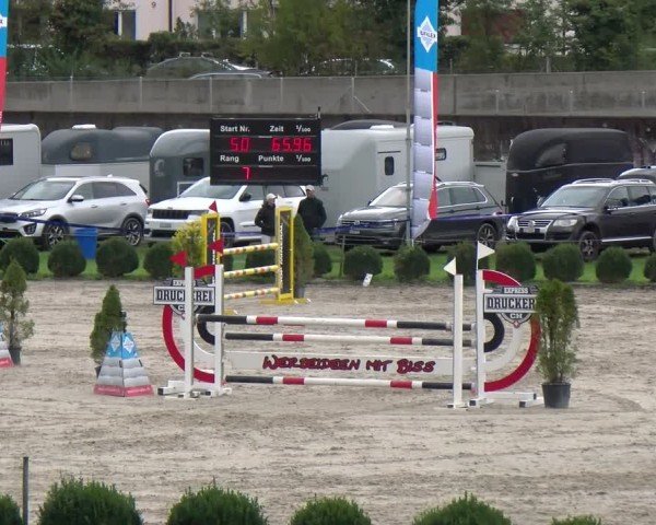 Reitturnier Basel 2024