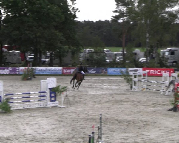Reitturnier Westergellersen 2024