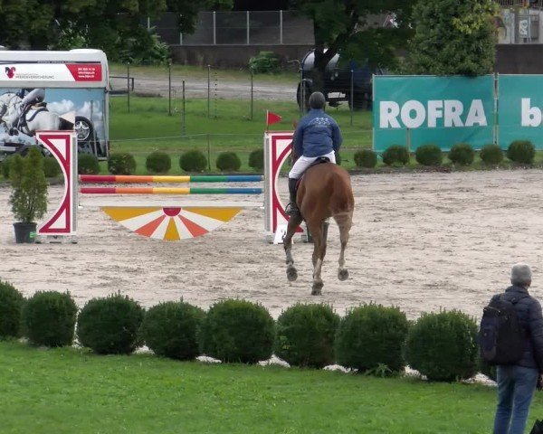 Reitturnier Basel 2024