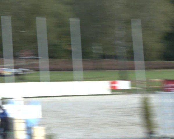 Reitturnier Westergellersen 2024