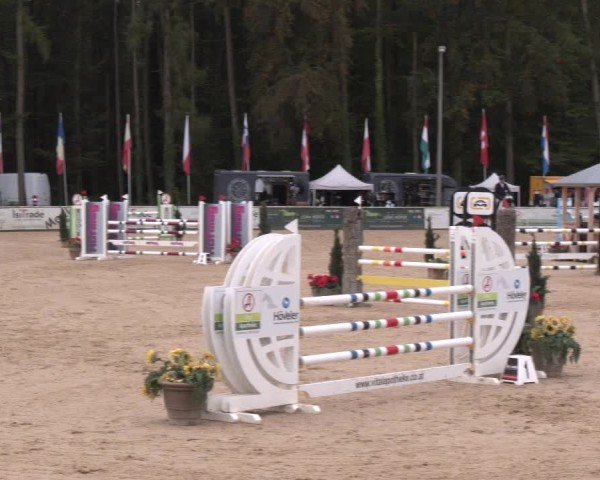 Reitturnier Ranshofen - Braunau am Inn 2024