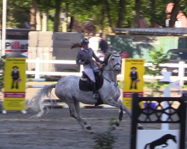 Reitturnier Mildstedt - Jumping Team Nord - 2024