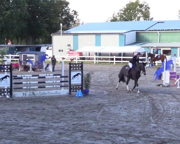 Reitturnier Mildstedt - Jumping Team Nord - 2024