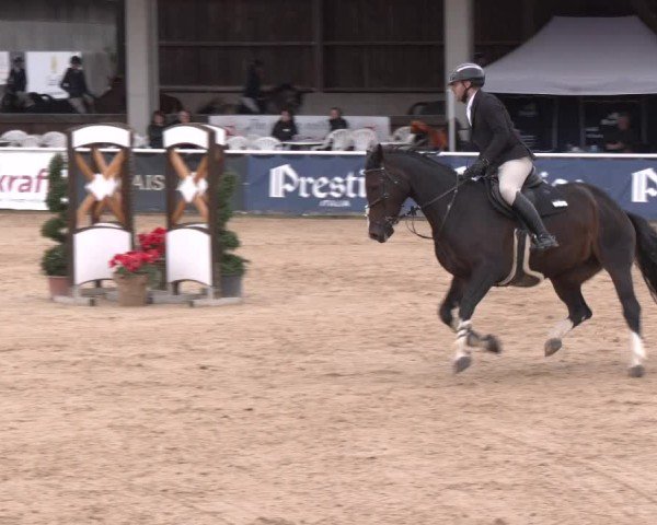Reitturnier Ranshofen - Braunau am Inn 2024
