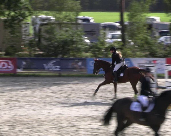 Reitturnier Westergellersen 2024