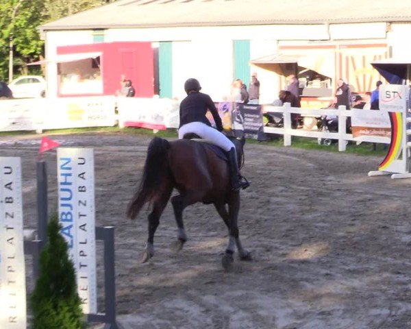 Reitturnier Mildstedt - Jumping Team Nord - 2024