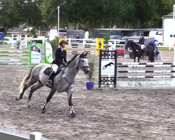 Reitturnier Mildstedt - Jumping Team Nord - 2024