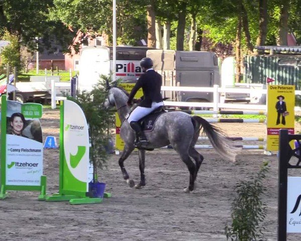 Reitturnier Mildstedt - Jumping Team Nord - 2024