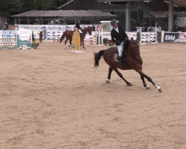 Reitturnier Ranshofen - Braunau am Inn 2024
