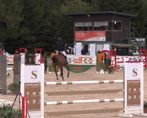 Reitturnier Ranshofen - Braunau am Inn 2024