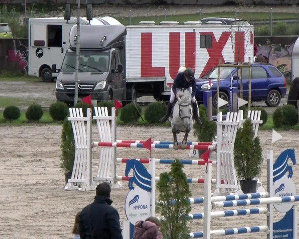 Reitturnier Basel 2024