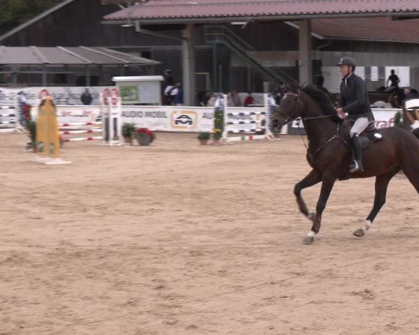 Reitturnier Ranshofen - Braunau am Inn 2024
