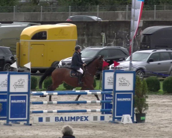 Reitturnier Basel 2024