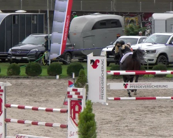 Reitturnier Basel 2024