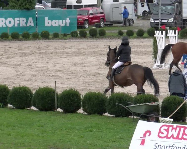 Reitturnier Basel 2024