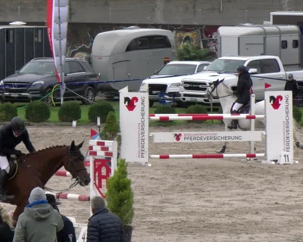 Reitturnier Basel 2024