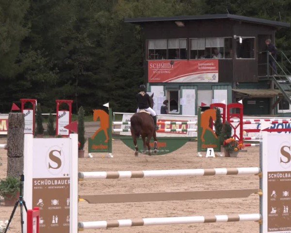 Reitturnier Ranshofen - Braunau am Inn 2024