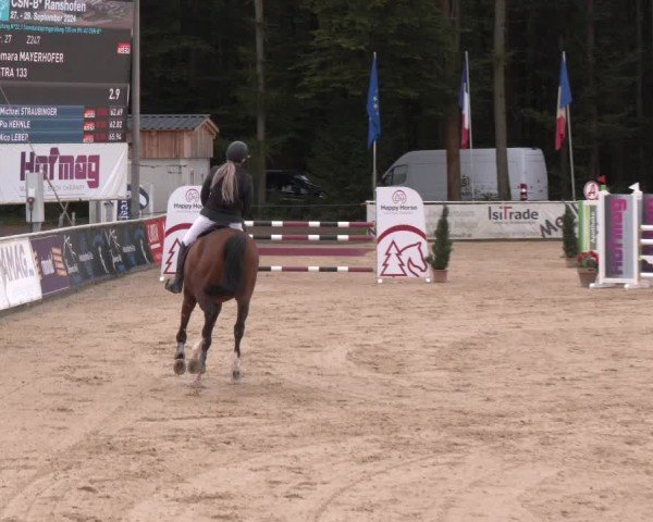 Reitturnier Ranshofen - Braunau am Inn 2024